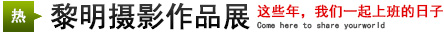 攝影展：這些年，我們一起上班的日子